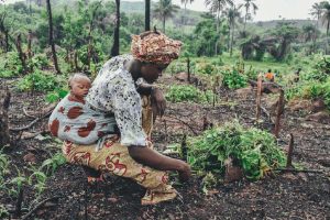 L’évolution du paysage du financement du capital-risque en Afrique